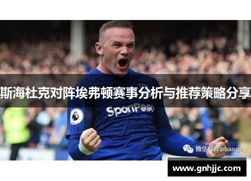 斯海杜克对阵埃弗顿赛事分析与推荐策略分享